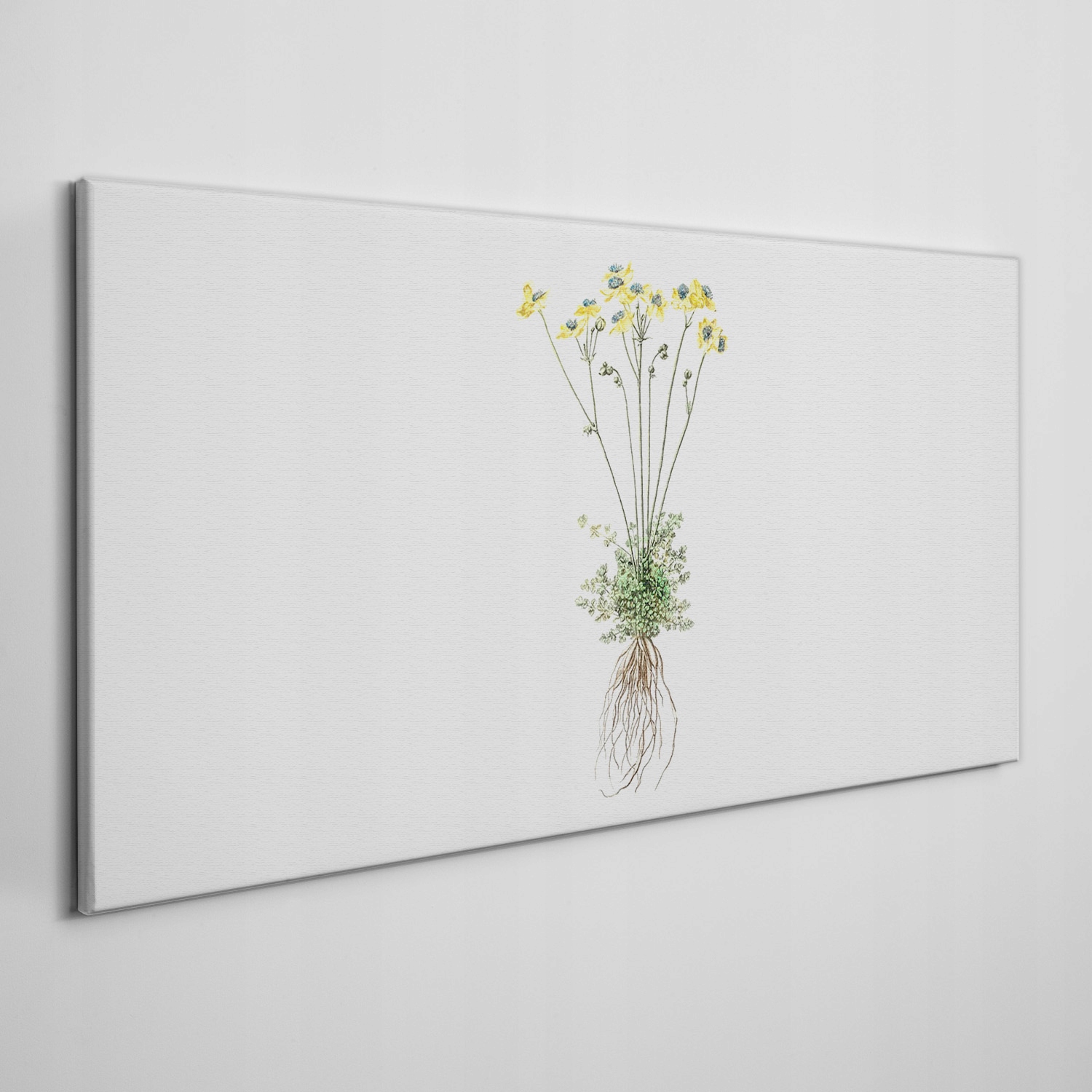 

Obraz ścienny na płótnie Kwiaty rośliny 100x50 cm