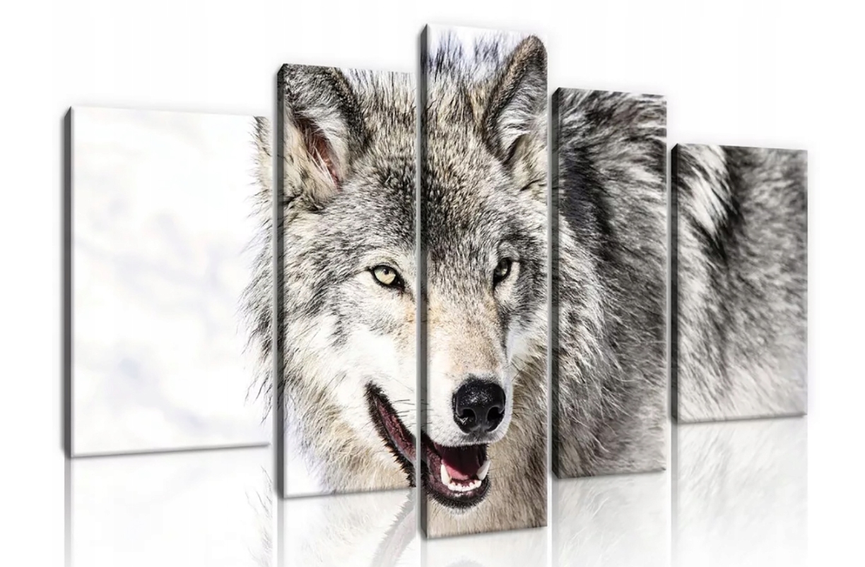 Obraz 170x100 Vlk divoká príroda sila sloboda zvieratá dekorácia steny