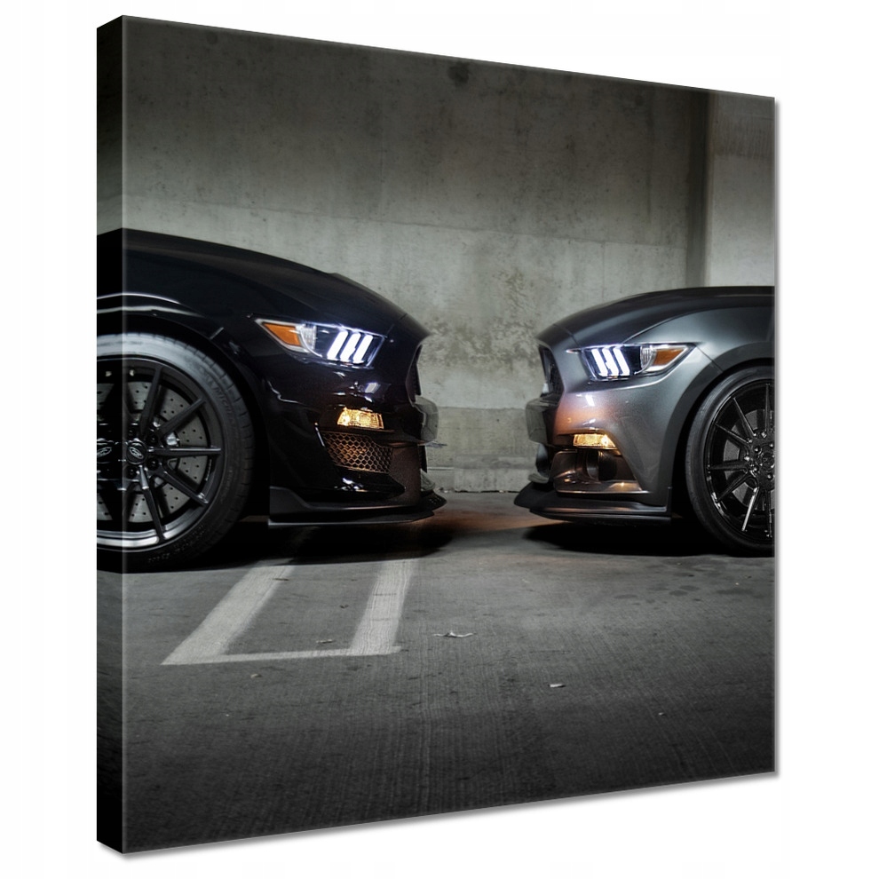 

Obrazy 70x70 Ford Mustang made in Usa