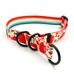 Levně Polostahovací obojek Fruit Jelly Psiakrew M/L