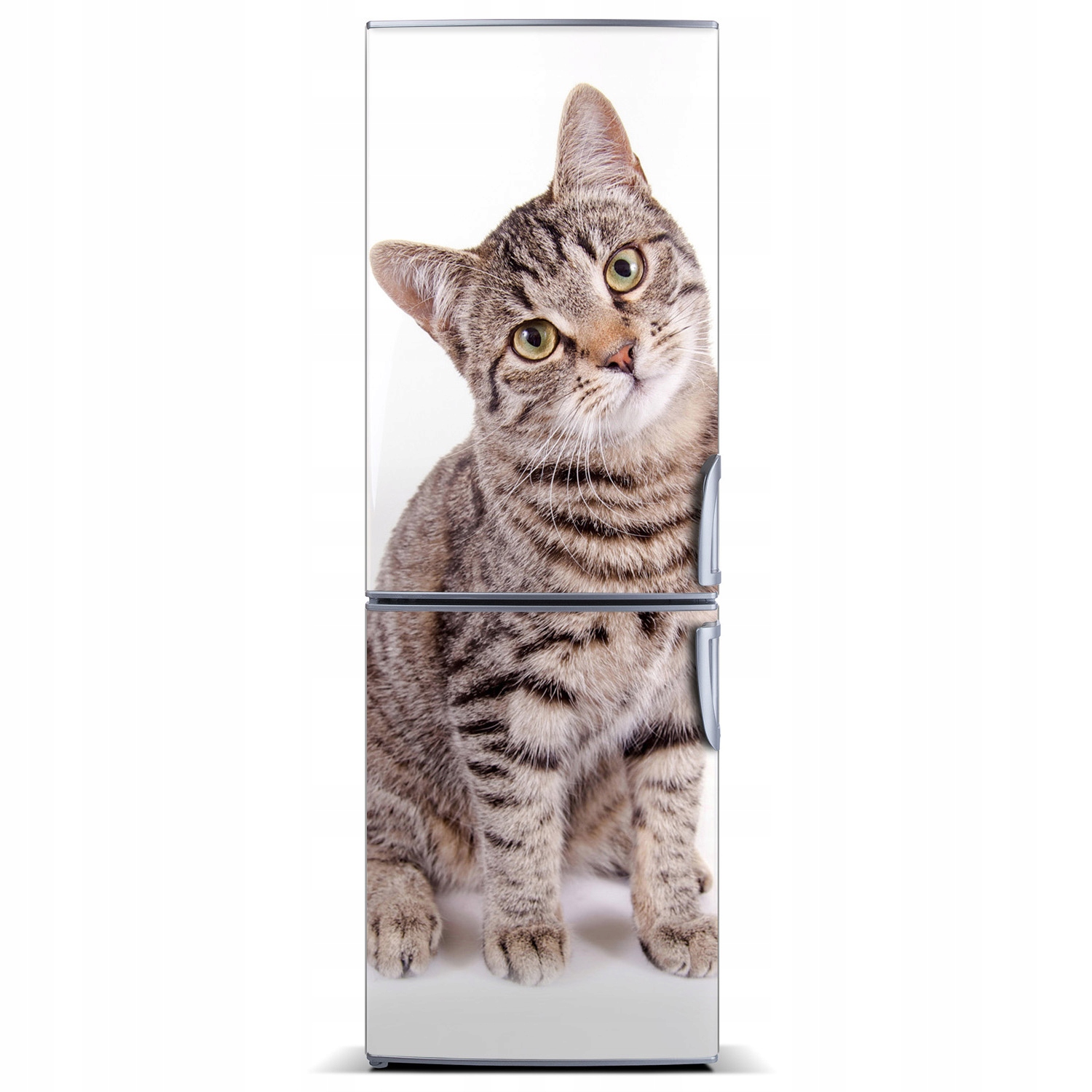 

Naklejka magnetyczna lodówkę ścianę Kot 60x180