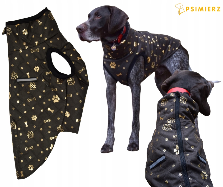 Levně Oblečení pro velkého psa L bunda hnědá zlatá pro dalmatina vyvýšená pudla