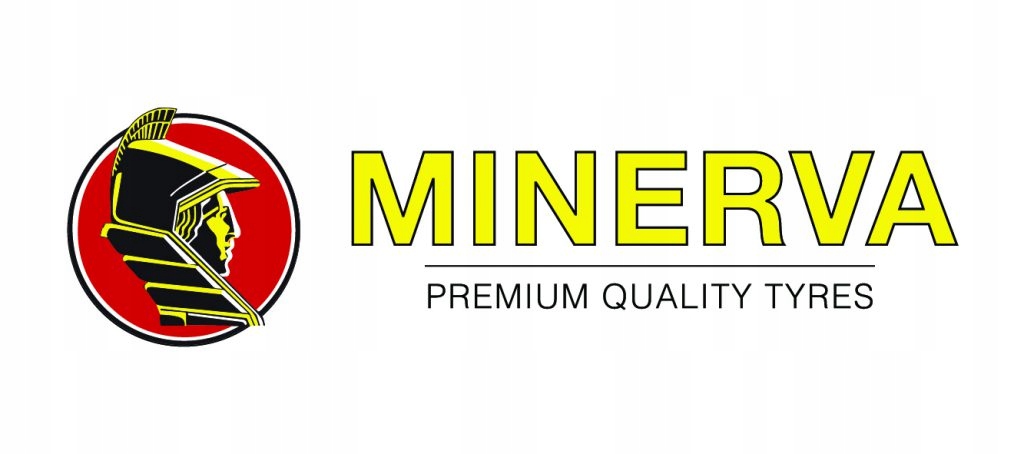1x MINERVA S210 255/40R19 100 V Sezon zimowe