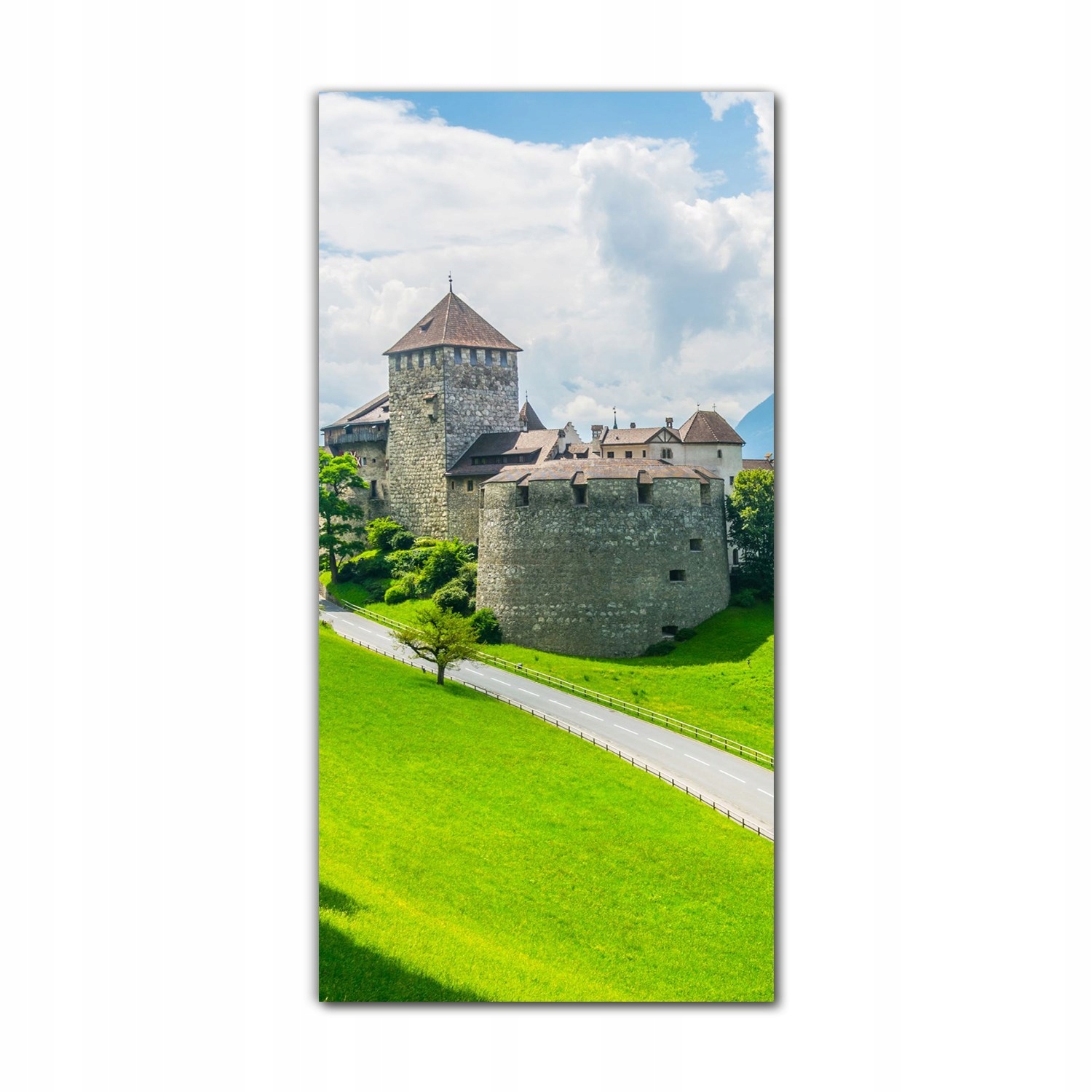 

Foto-obraz ścienny grafika 60x120 Zamek Księstwo