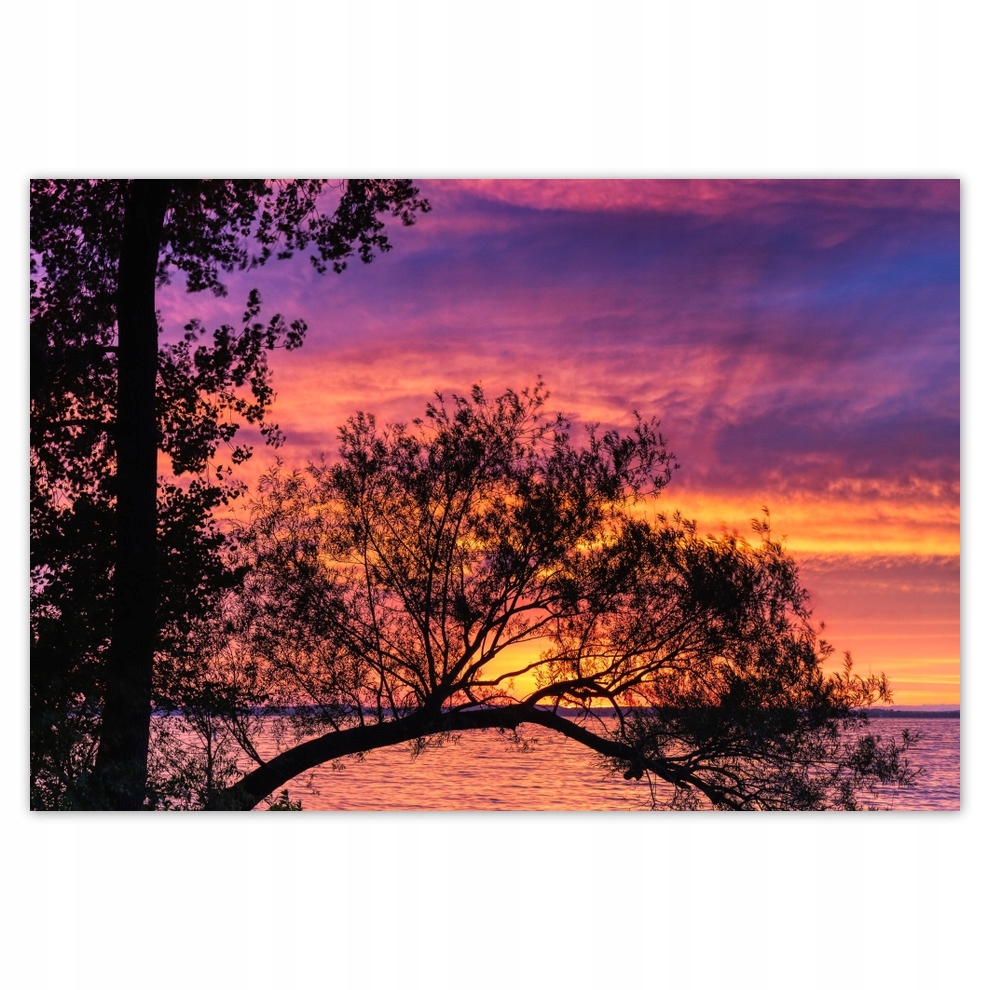 

Fototapety flizelina 104x70 Jezioro Drzewo Zachód