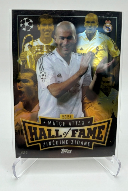 Zinedine Zidane w Kolekcje, pamiątki - Sport i Turystyka - Allegro.pl