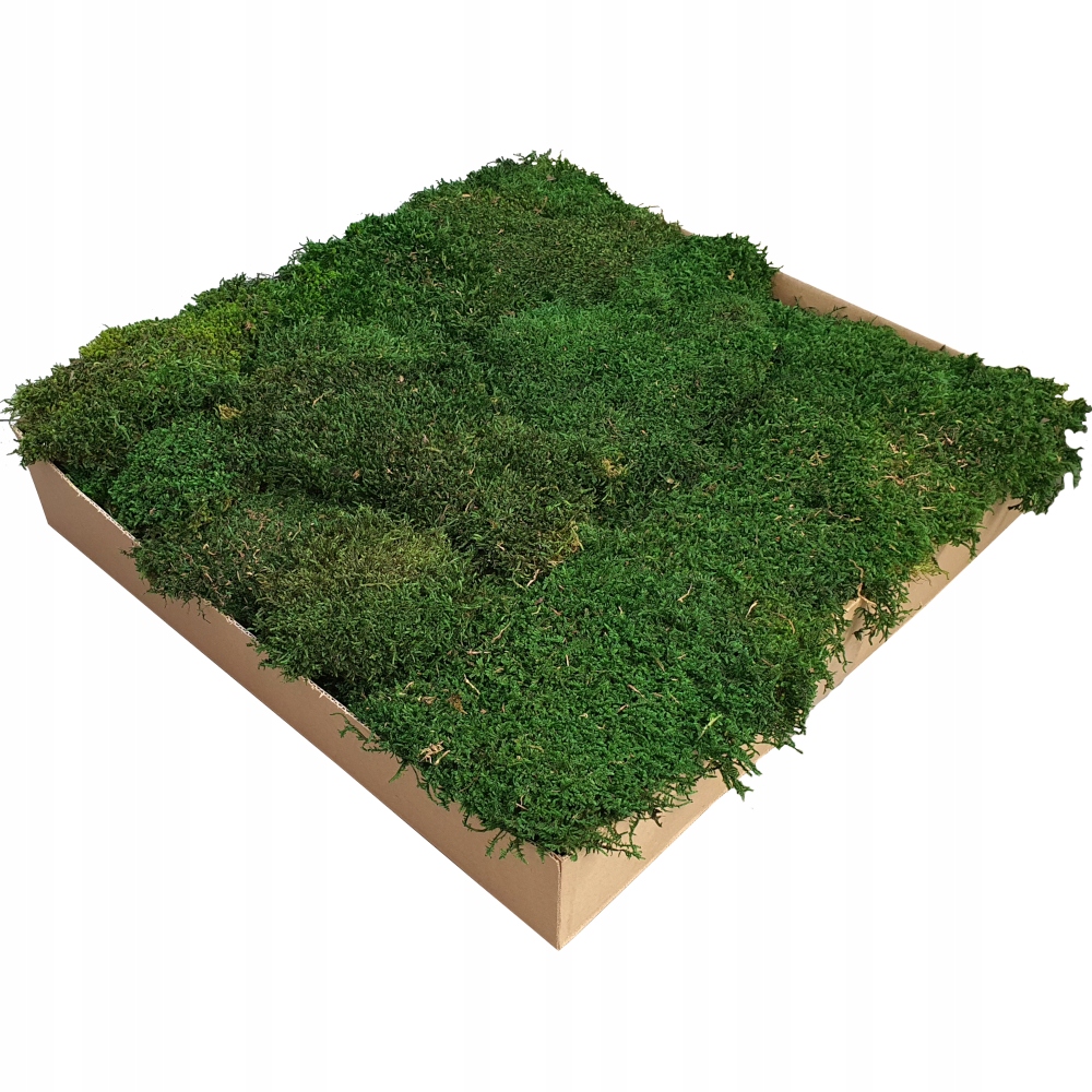 Plochý mech Premium Natural Green Karton 1 m2