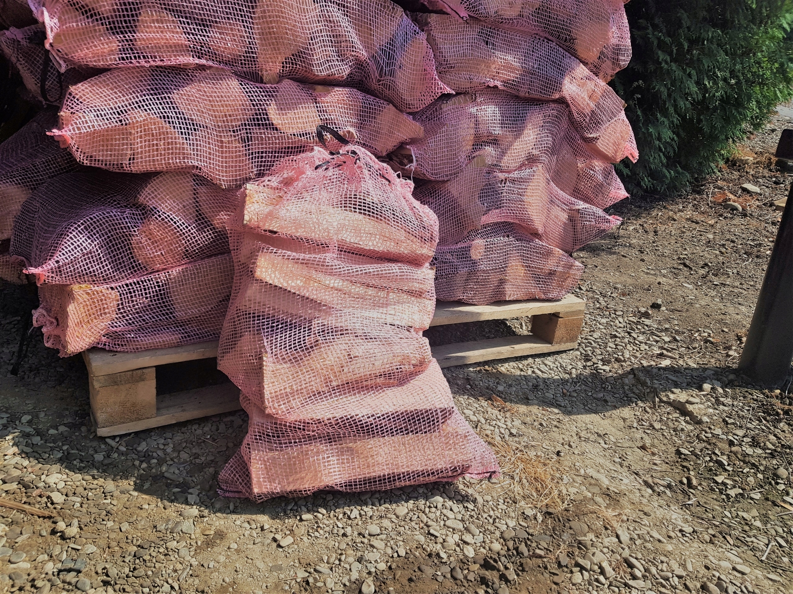 JESION Suche Drewno opałowe opał do pieca kominka Producent inny