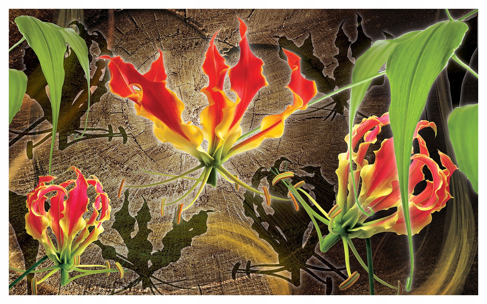 Fototapeta Glorioza Kvety Vinylová exotika 254x184 lepidlo