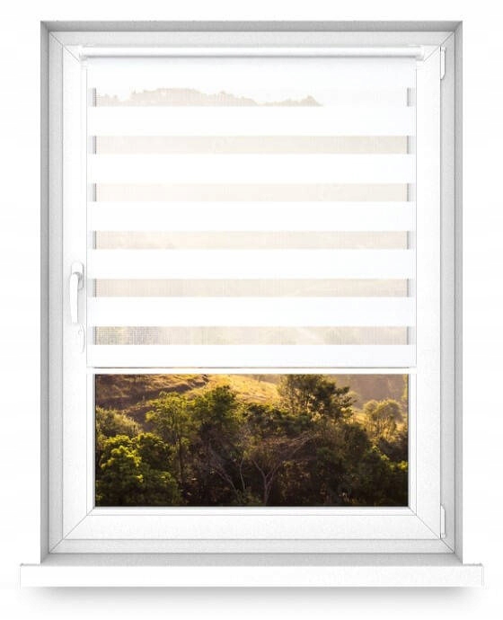 Mini roleta Bez Zatloukání roleta den a noc 110 x 50 cm