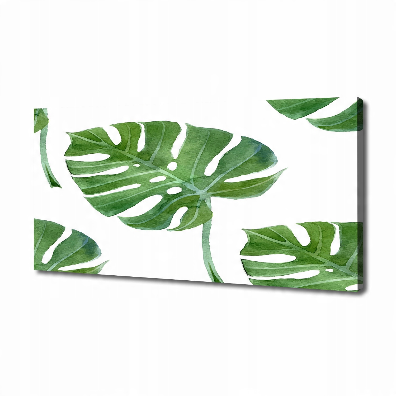 

Foto obraz canvas na ścianę Monstera 140x70 cm