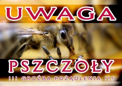 

Średnia tablica ostrzegawcza Uwaga Pszczoły F205