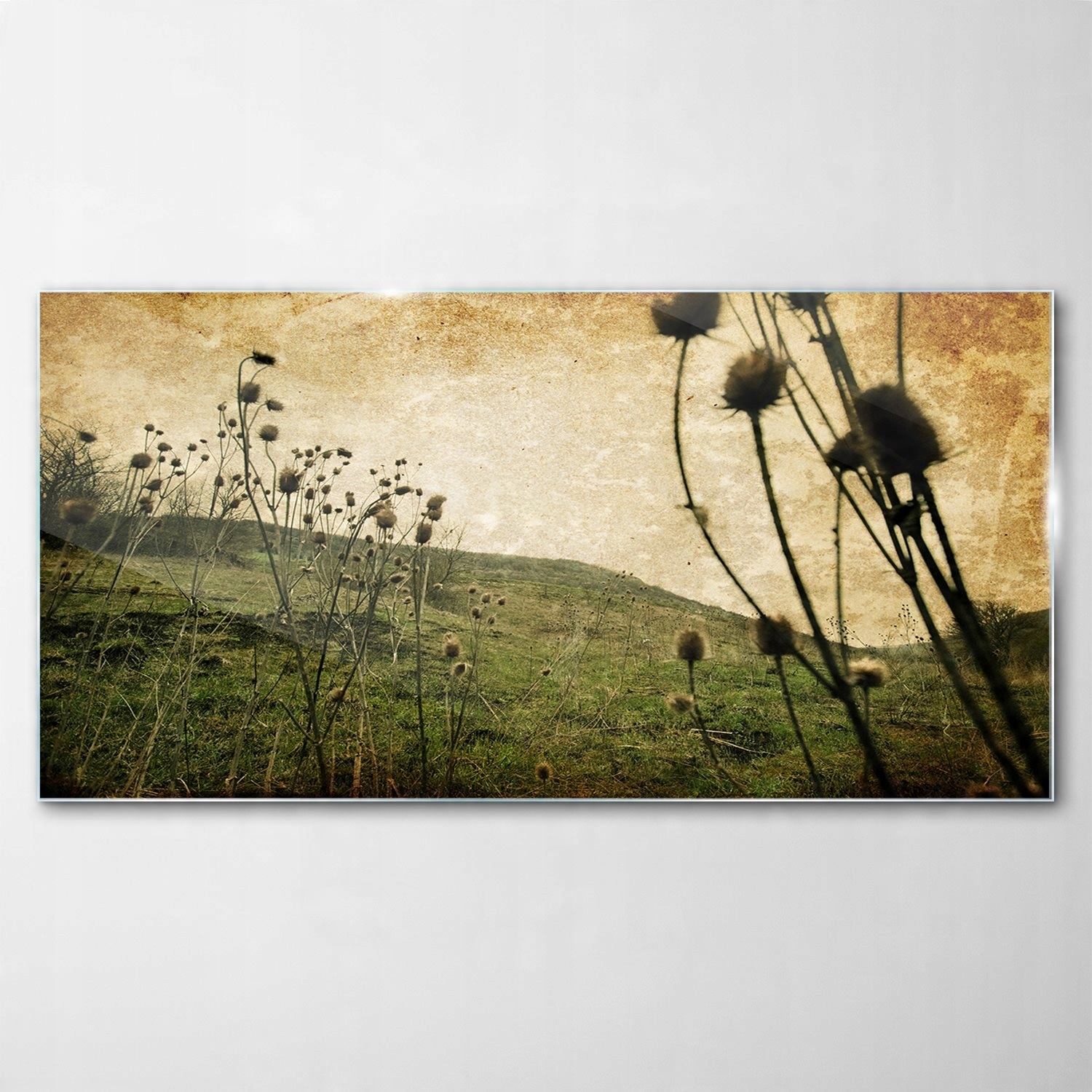 

Obraz na Szkle Dekor Łąka Kwiaty Natura 120x60