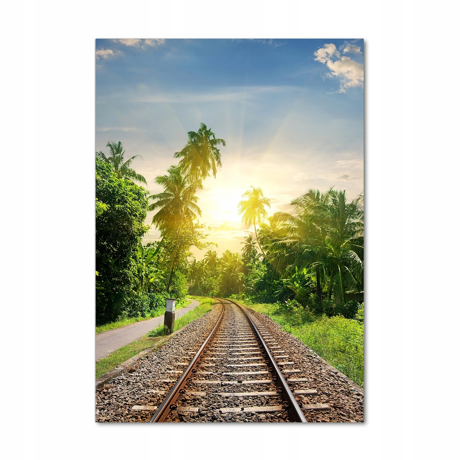 

Foto obraz szkło hartowane Tory kolejowe 70x100 cm