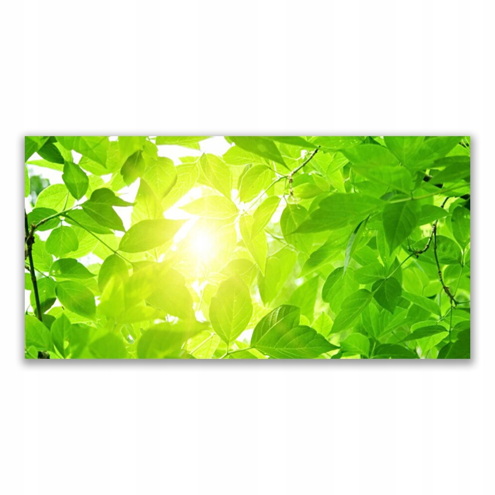 

Obraz wiszący 120x60 Liście Natura Słońce Roślina