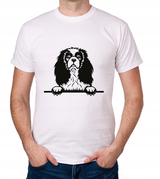 

koszulka Cavalier King Charles Spaniel prezent