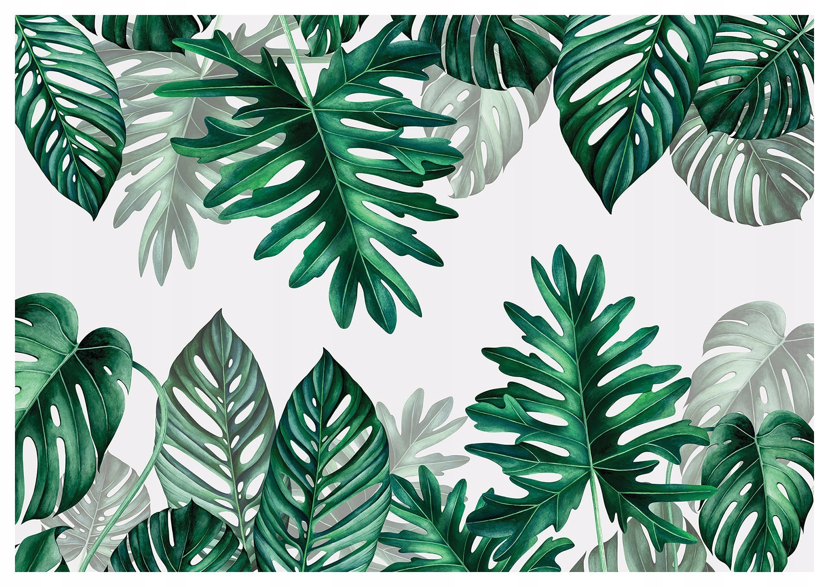 Fototapeta Flizelina Tropické listy Monstera a Filodendron 400x280 lepidlo