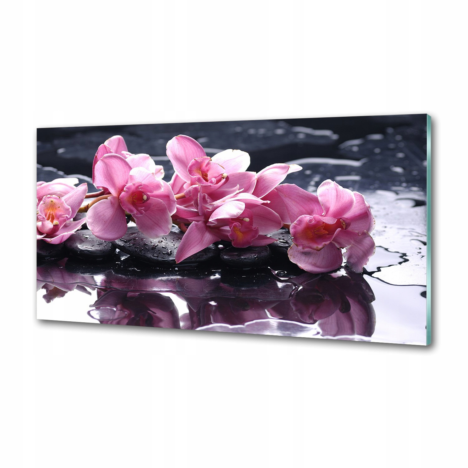 Panel do kuchyne Ružová orchidea 100 x 50 cm Lepidlo