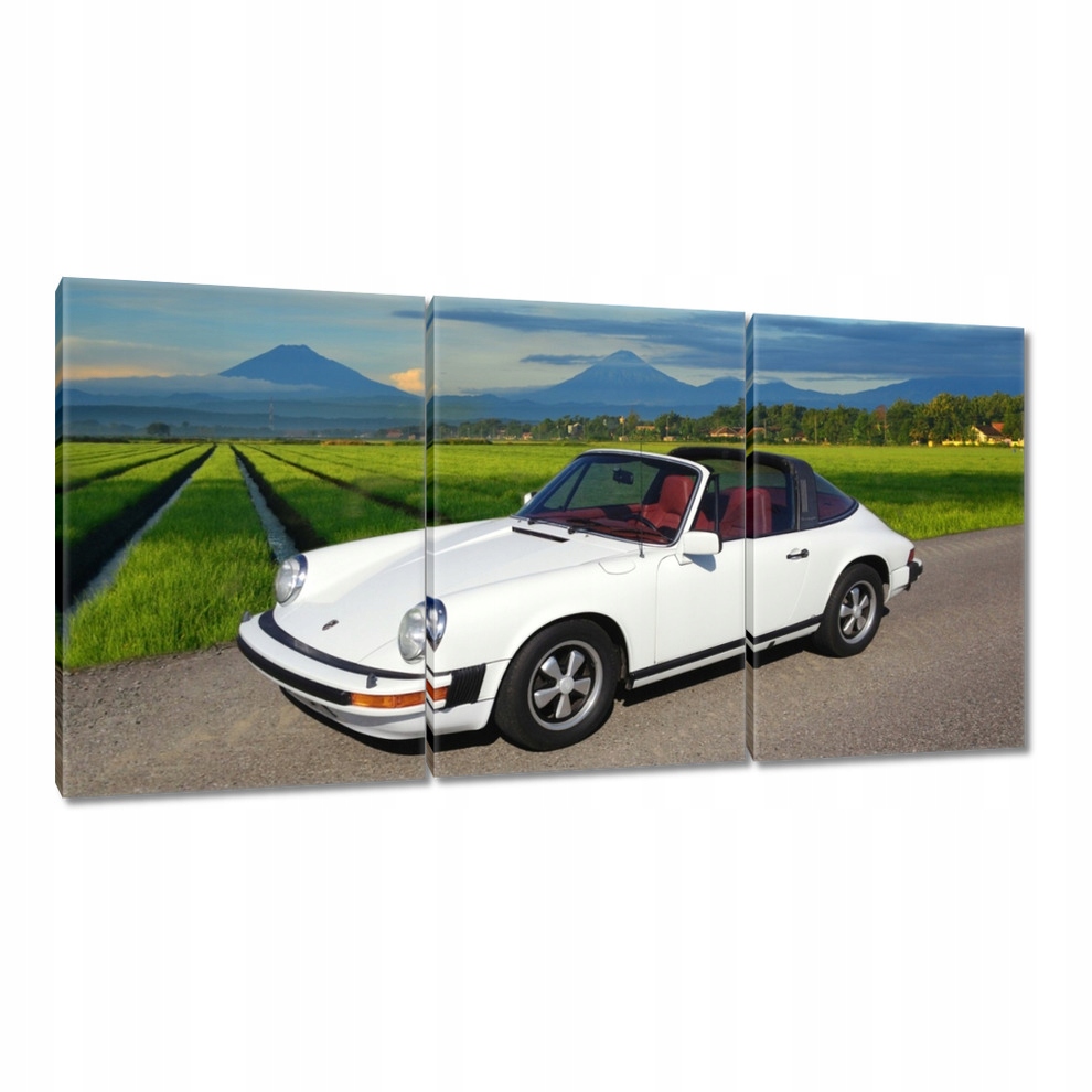 

Obrazy 120x60 Białe Porsche