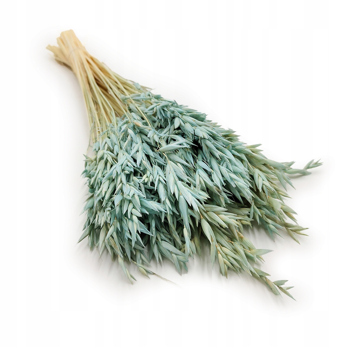 Owies Suszony - Miętowy