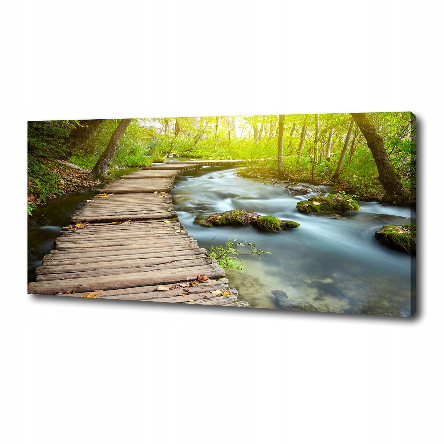 

Foto obraz na płótnie Ścieżka nad rzeką 125x50 cm