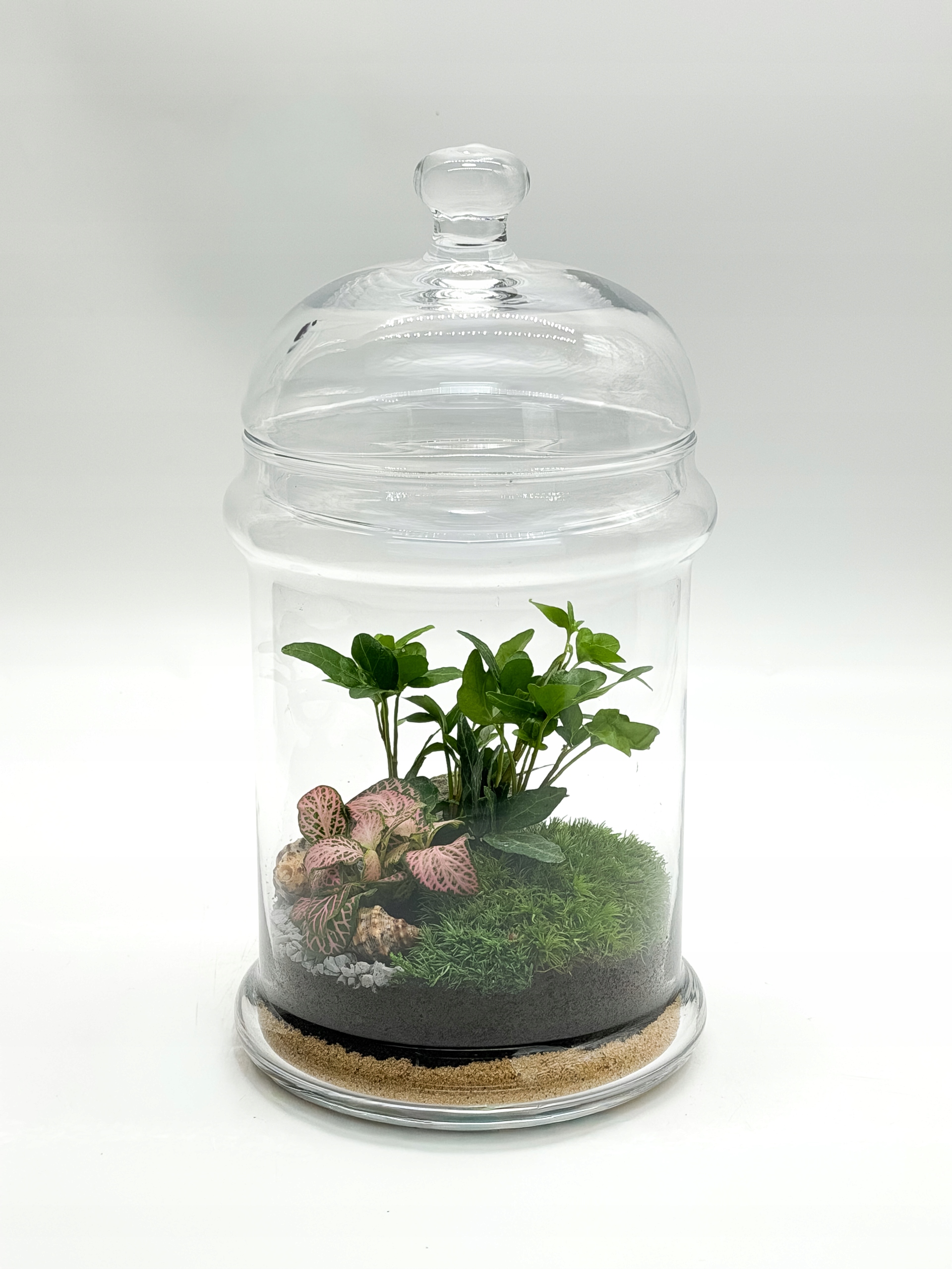 Les ve skle bonboniéra s skleněným krytem – hotová kompozice – Dárek