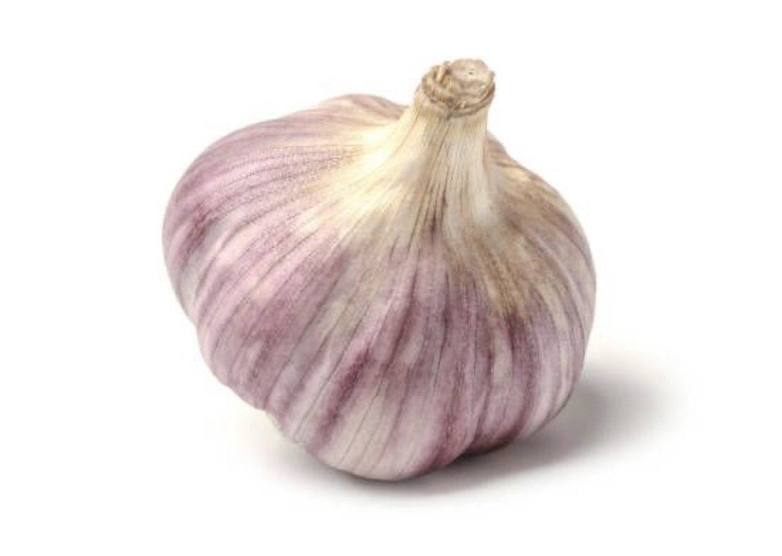 CZOSNEK HARNAŚ DUŻE GŁÓWKI 500g ZBIÓR 2025