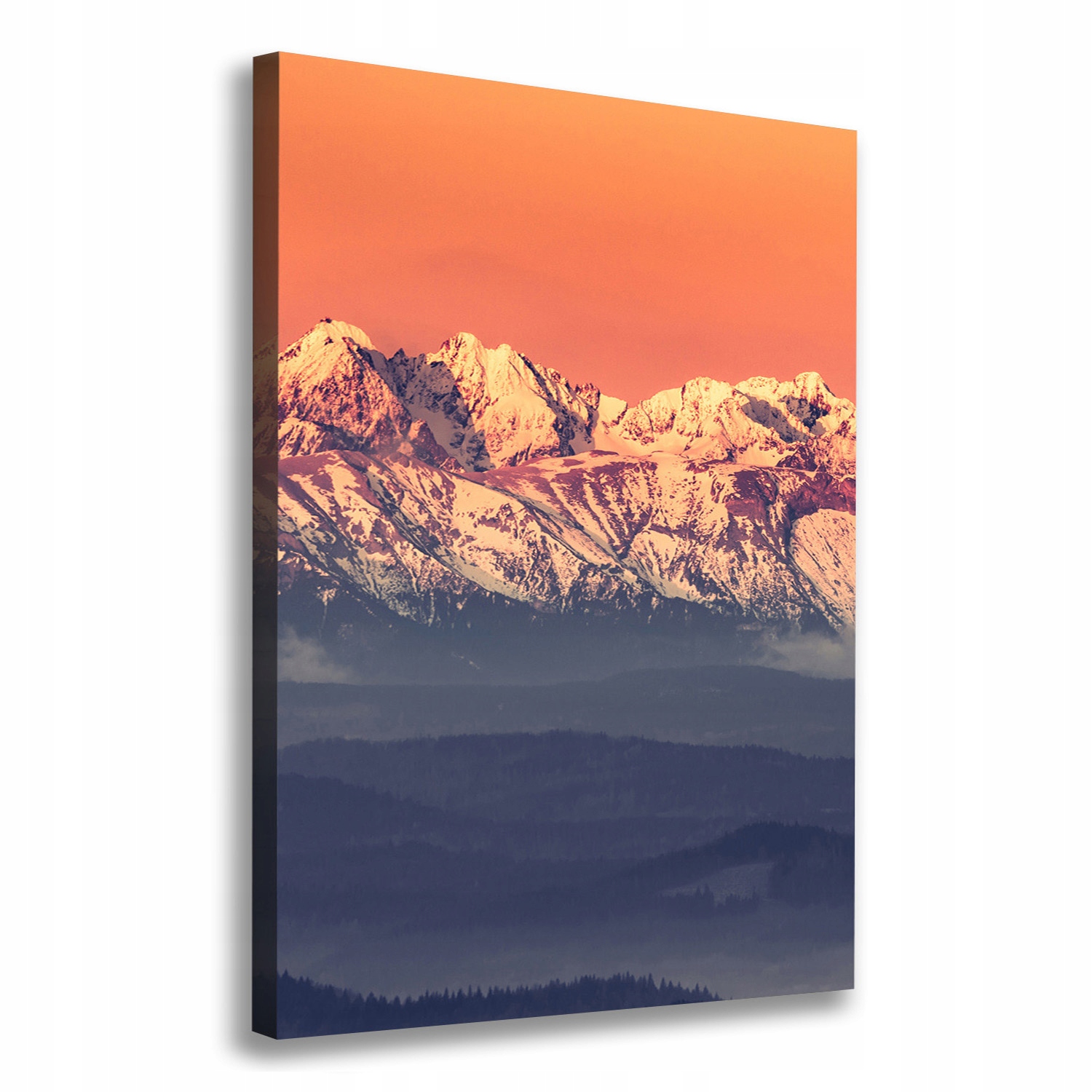 

Foto obraz na płótnie Panorama Tatry 70x100 cm