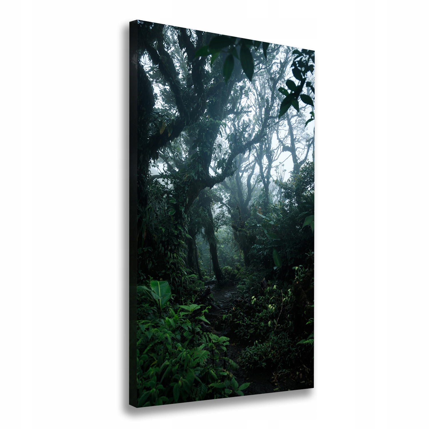 

Foto obraz na płótnie Las deszczowy 60x120 cm