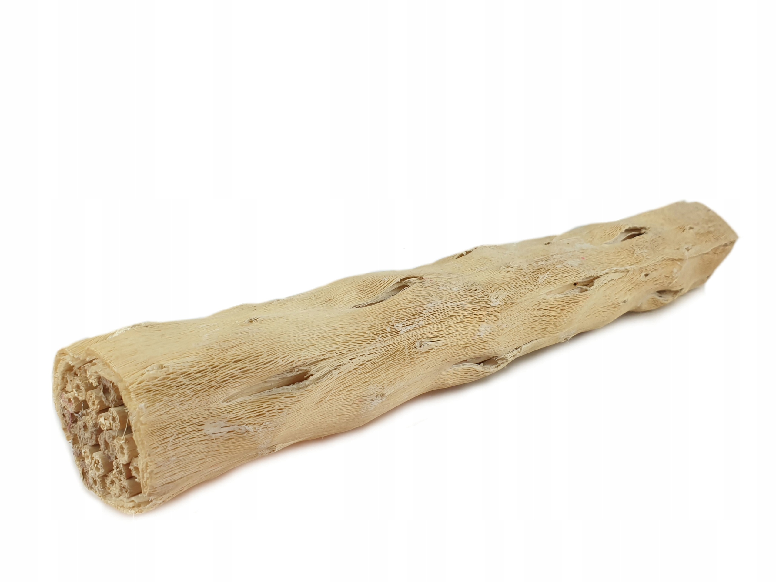 

Snopek Pepe Roll susz egzot. kora bielona 50 cm