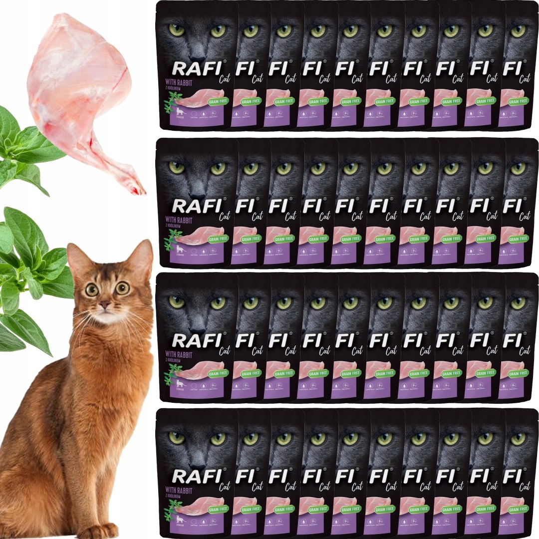 Levně Rafi Krmivo Vlhká paštika pro sterilizované kočky s králíkem 100 g x 40 š