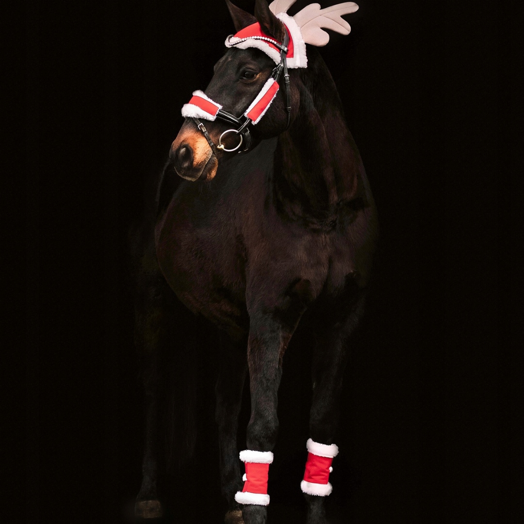 Vánoční sada pro koně Waldhausen