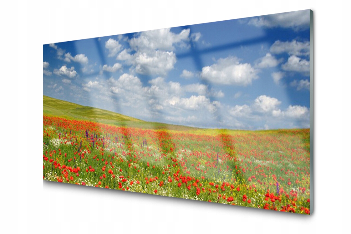Dekorativní skleněný panel Louka Květiny 100x50