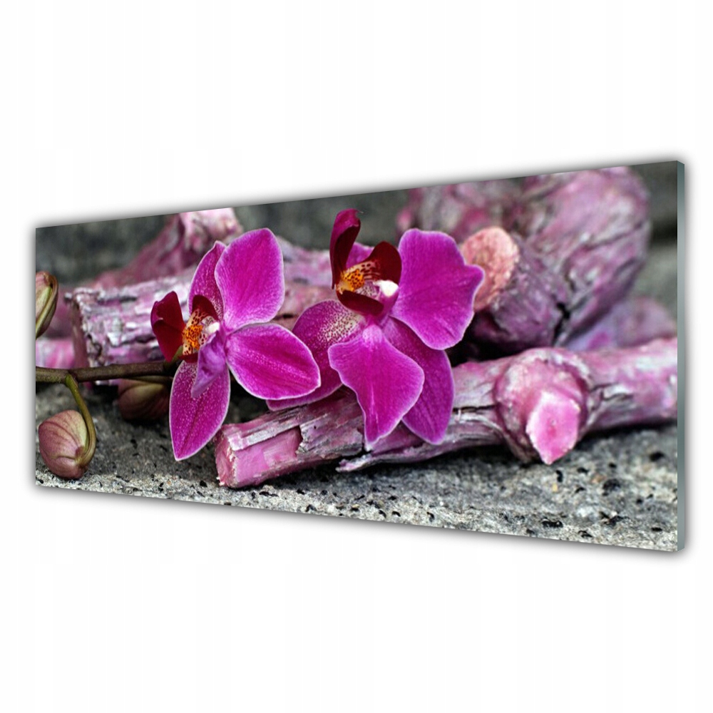 

Obraz akrylowy 125x50 Drewno Kwiaty Roślina Natura