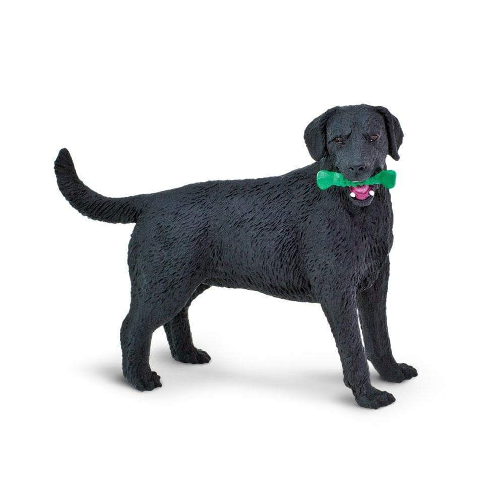 

Pies Labrador Czarny Safari Ltd. 253429