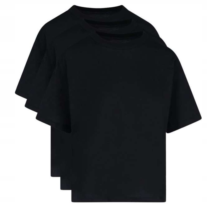 Tričko tričko Calvin Klein 3ks 0040105WAE L