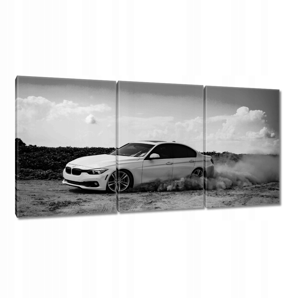 

Obrazy 120x60 Bmw Driftuje