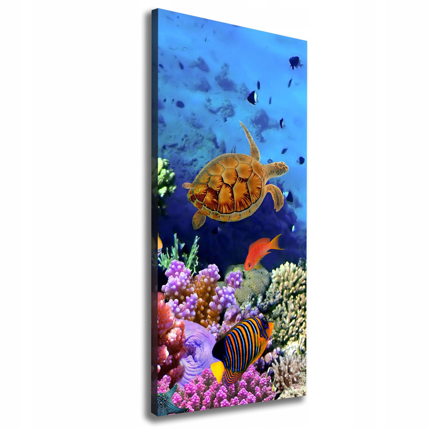 

Foto obraz canvas na ścianę Rafa koralowa 50x125cm
