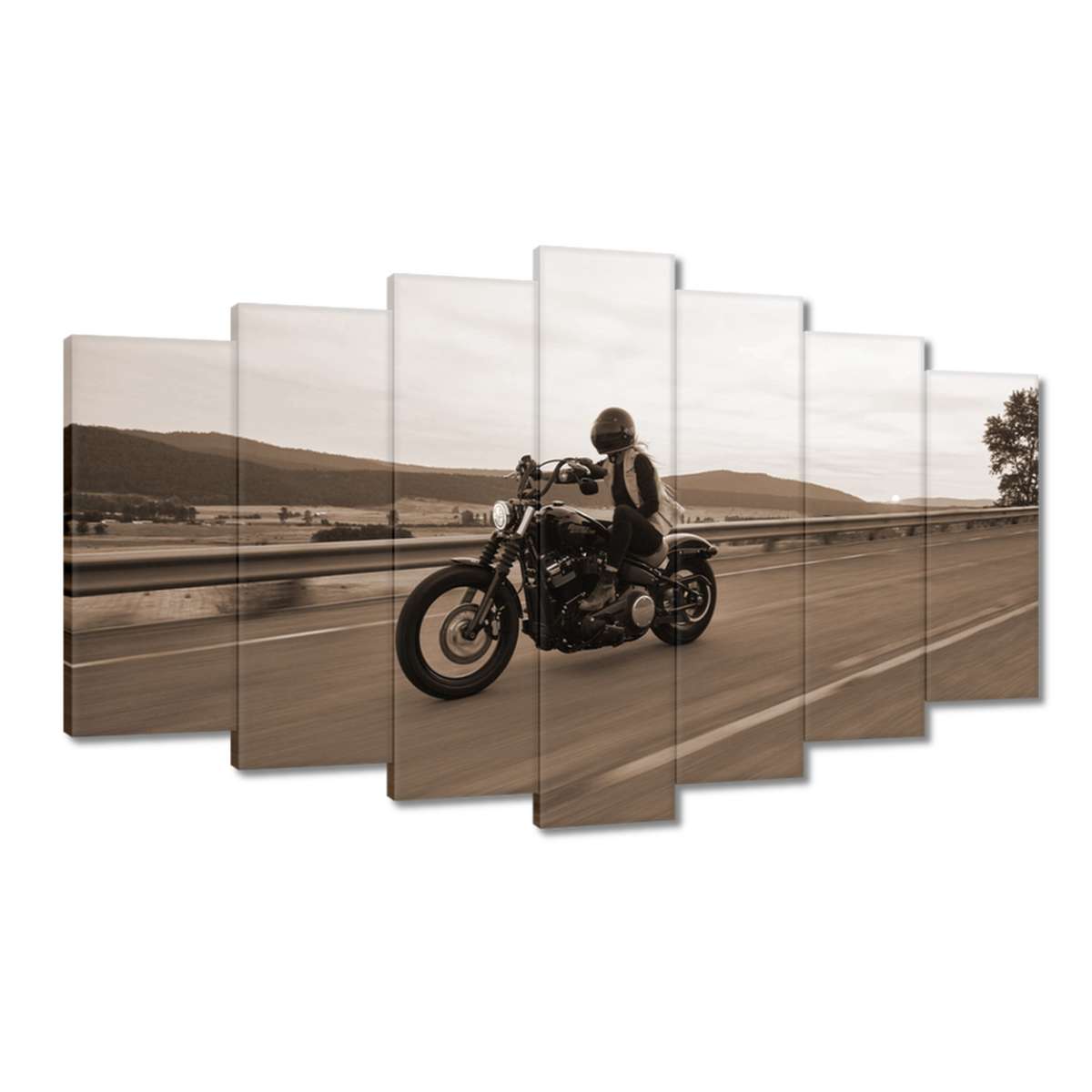 Obrazy 140x80 Harley Davidson Motocykl