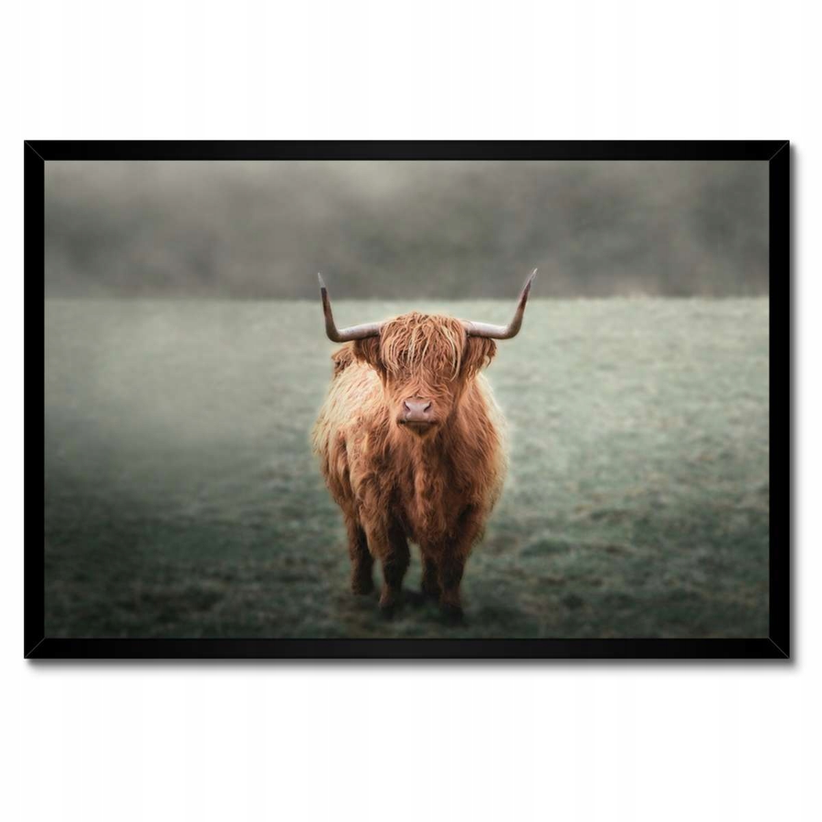 Plakáty v rámu 60x40 Jako s rohy Horská louka