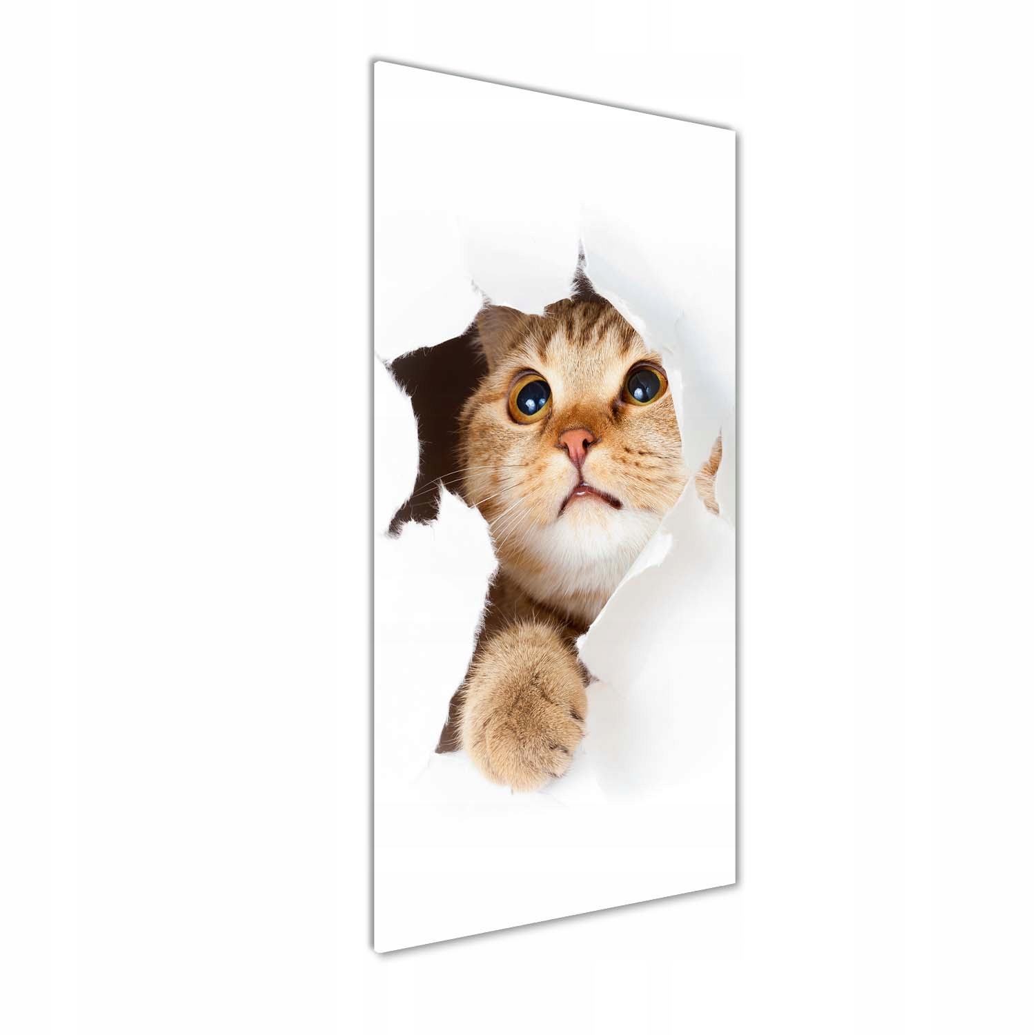 

Nowoczesny obraz zdjęcie na akrylu Kot 50x125 cm