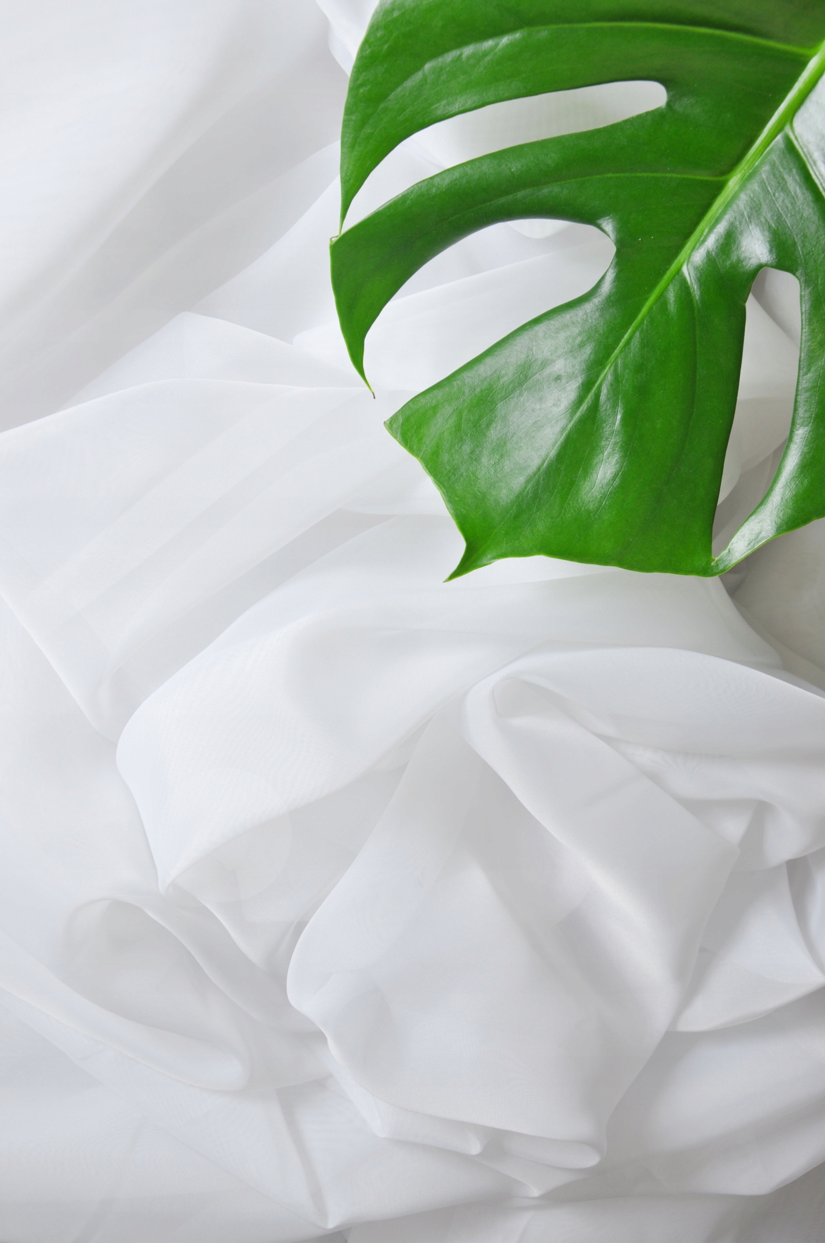 WOAL FIRANA NA METRY TIUL GŁADKI BIAŁY WYSOKOŚĆ 300CM ELEGANCKI WYSTRÓJ Kod producenta WOAL