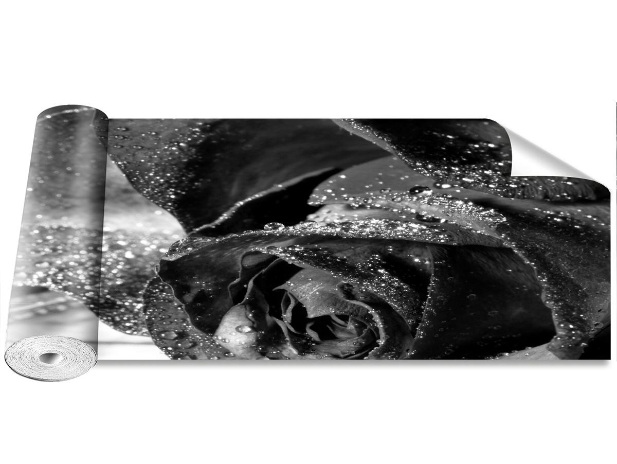 

Fototapeta Samoprzylepna Róża Woda 250x104