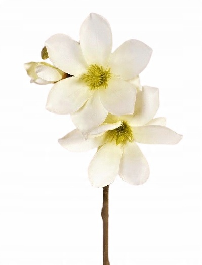 

Gałązka Magnolia kwiat sztuczny White/green