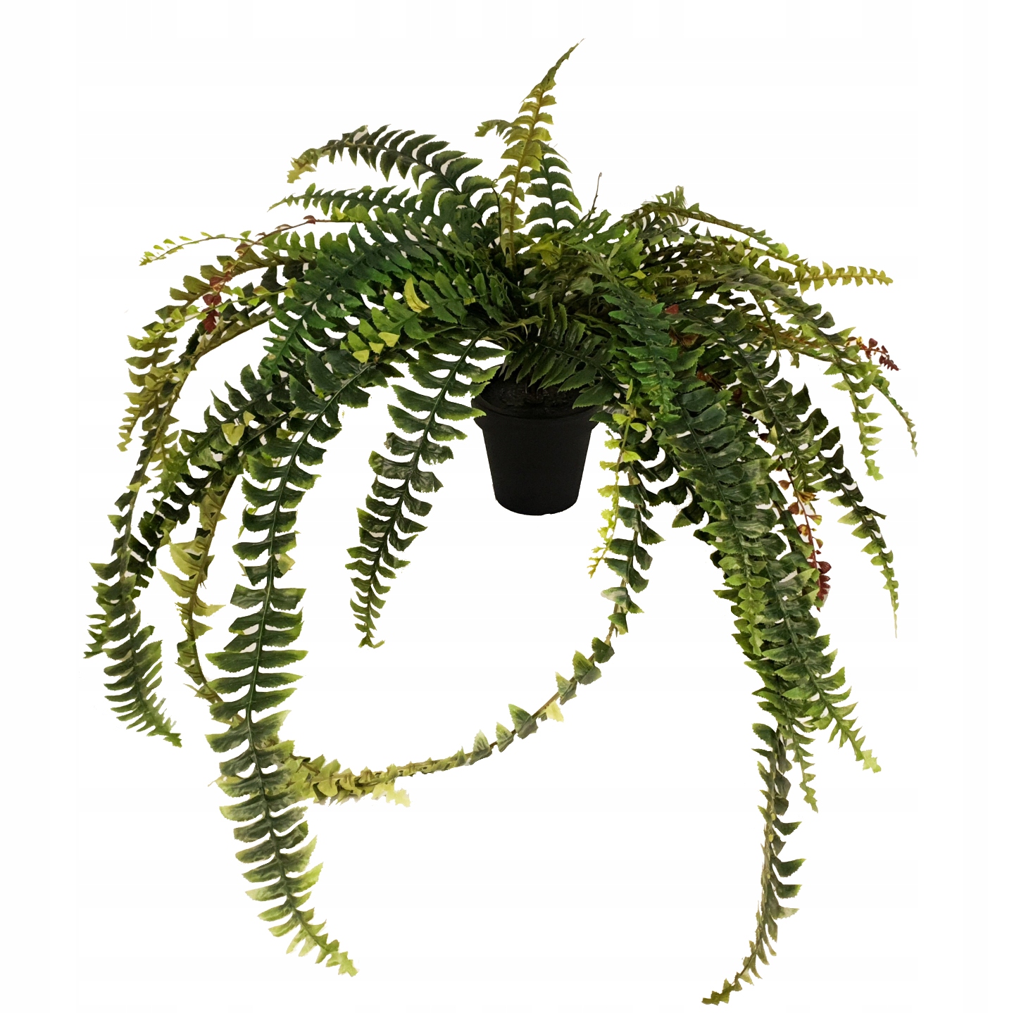 

Sztuczna Paprotka, Paproć Sztuczne Liście Duża 100