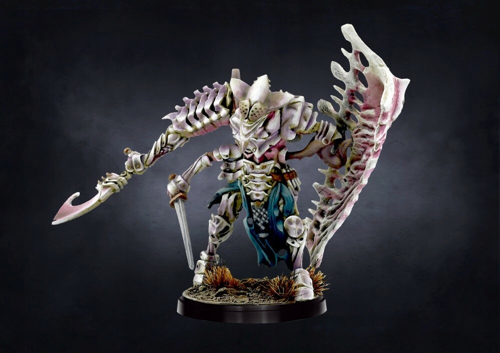 CONQUEST Ward Preceptor System Inne systemy