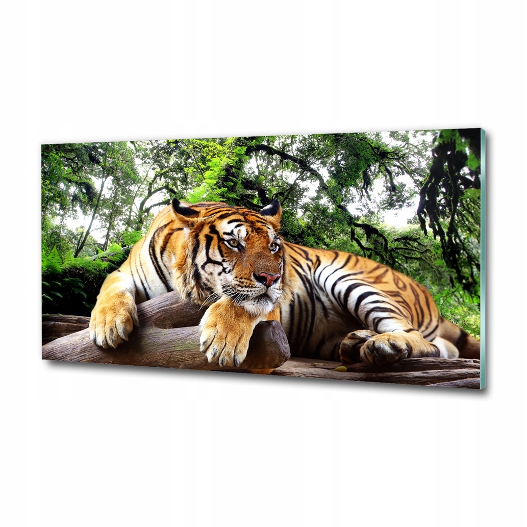 

Foto-obraz szklany abstrakcja Tygrys na skale