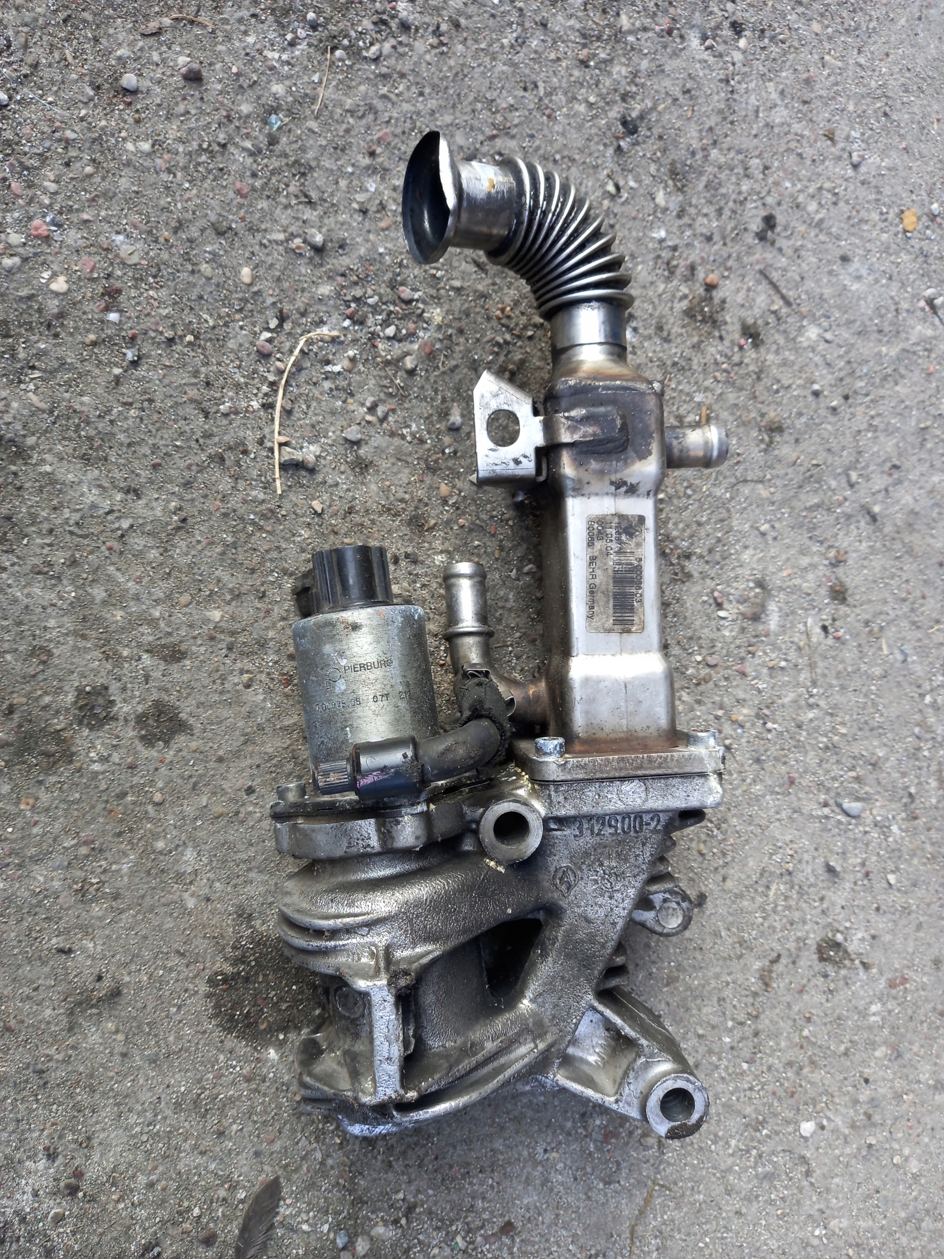 EGR CHŁODNICA SPALIN RENAULT SCENIC II 1.9 DCI USZKODZONA WTYCZKA