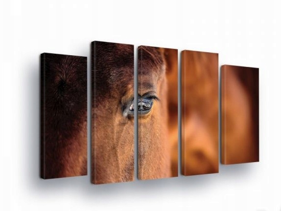 Obraz 150x100 Kôň oko koňa portrét zvieraťa príroda sila pokoj dekor