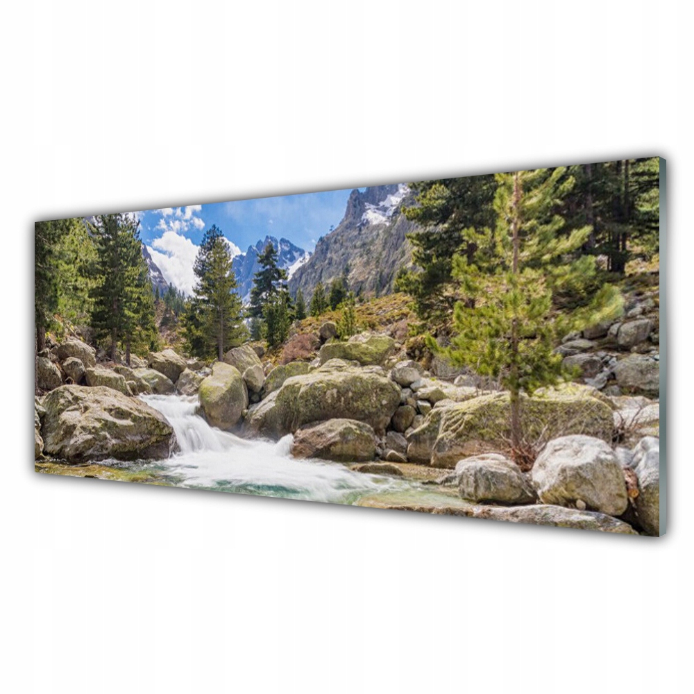 

Fotoobraz ścienny 125x50 Góra Las Kamienie Rzeka